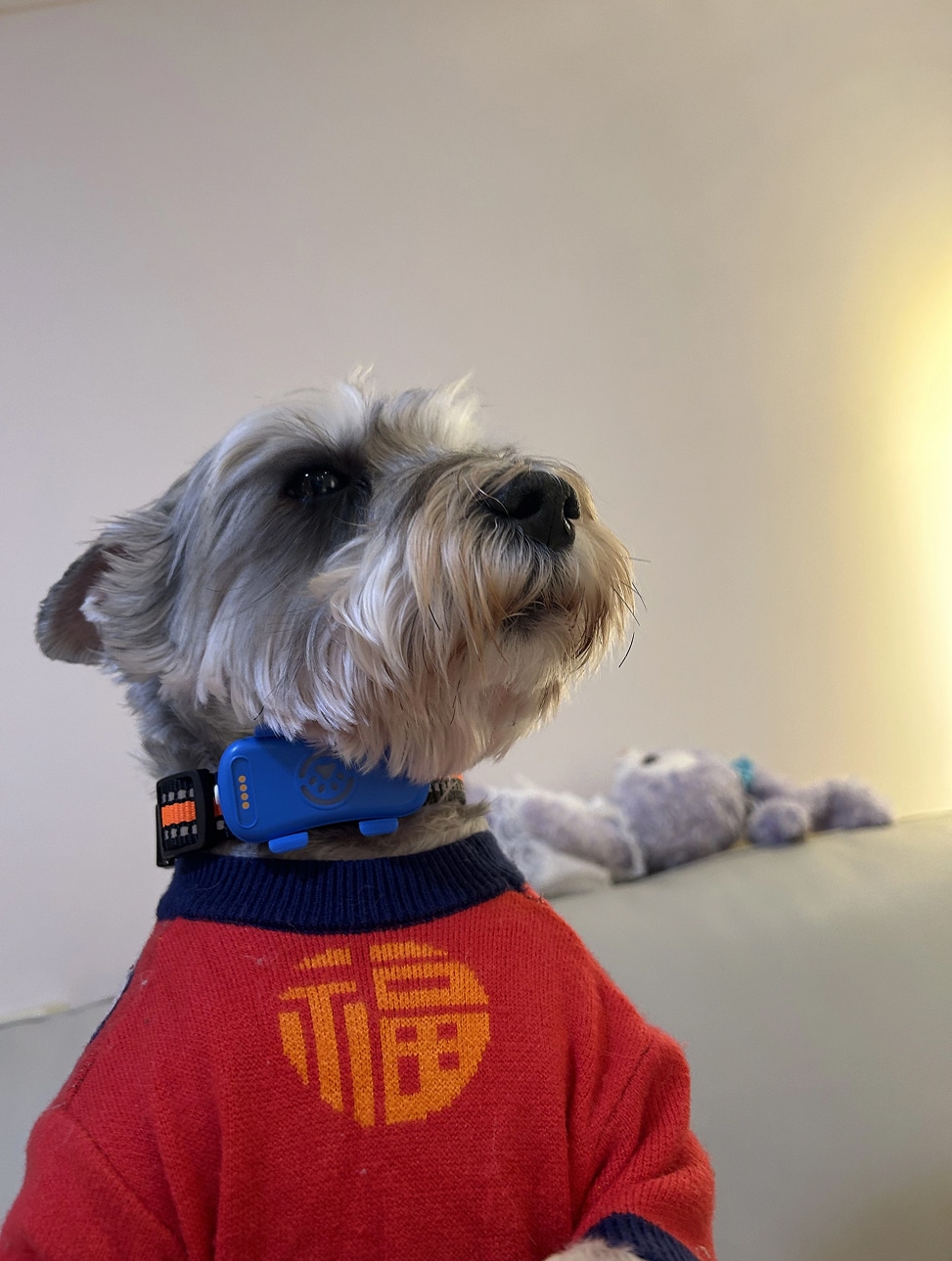 geo-papup-img-23